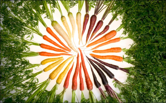 Carrot-color-arrangement