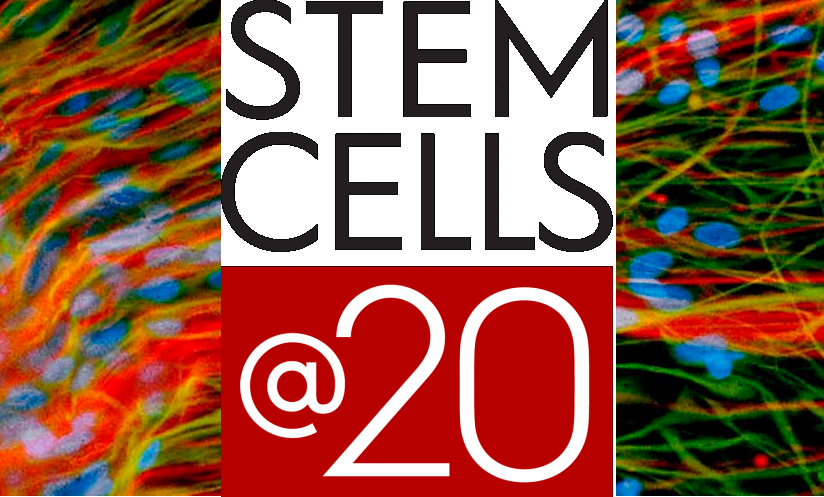 Stem cells at 20 years