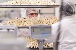 Completed cheese is ready to be packaged at Chula Vista Cheese Company. Photo: Jeff Miller