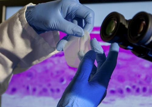 Gloved hands manipulate a skinlike material in a labratory setting
