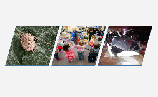 Collage photo of images from some of the stories