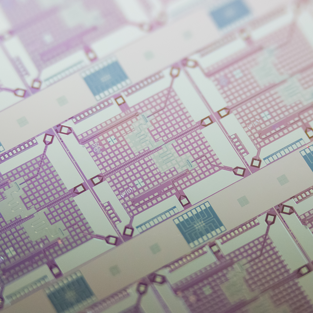 a magnification of a superconducting chip