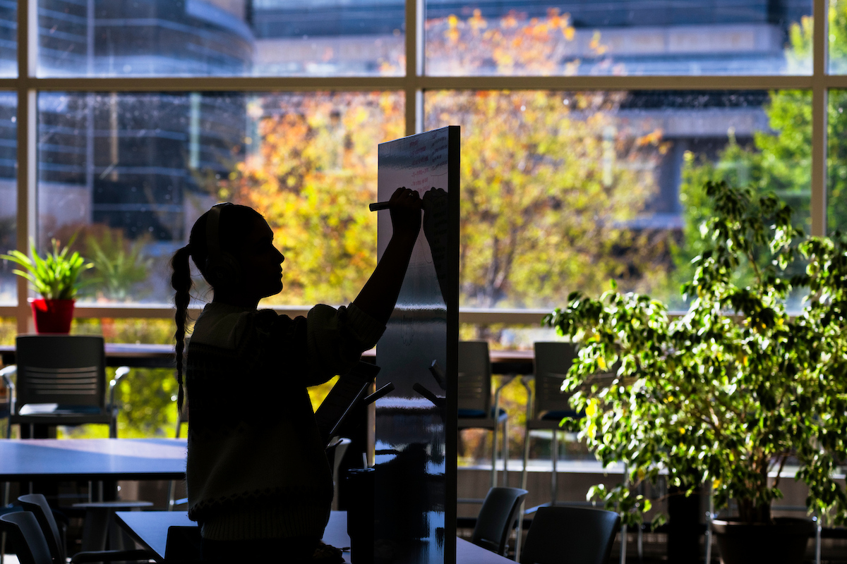 Silhouette of a person writing on a tall whiteboard in a sunlit campus lounge with large windows, tables, and autumn trees outside.