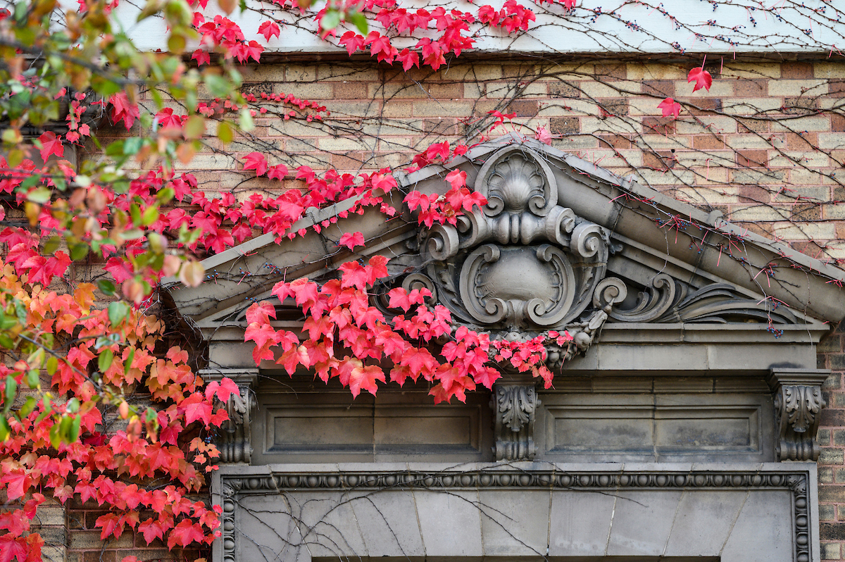Climbing ivy with foliage in hues of green and red frames ornate architecture details on the north exterior of Agricultural Hall at the University of Wisconsin–Madison.