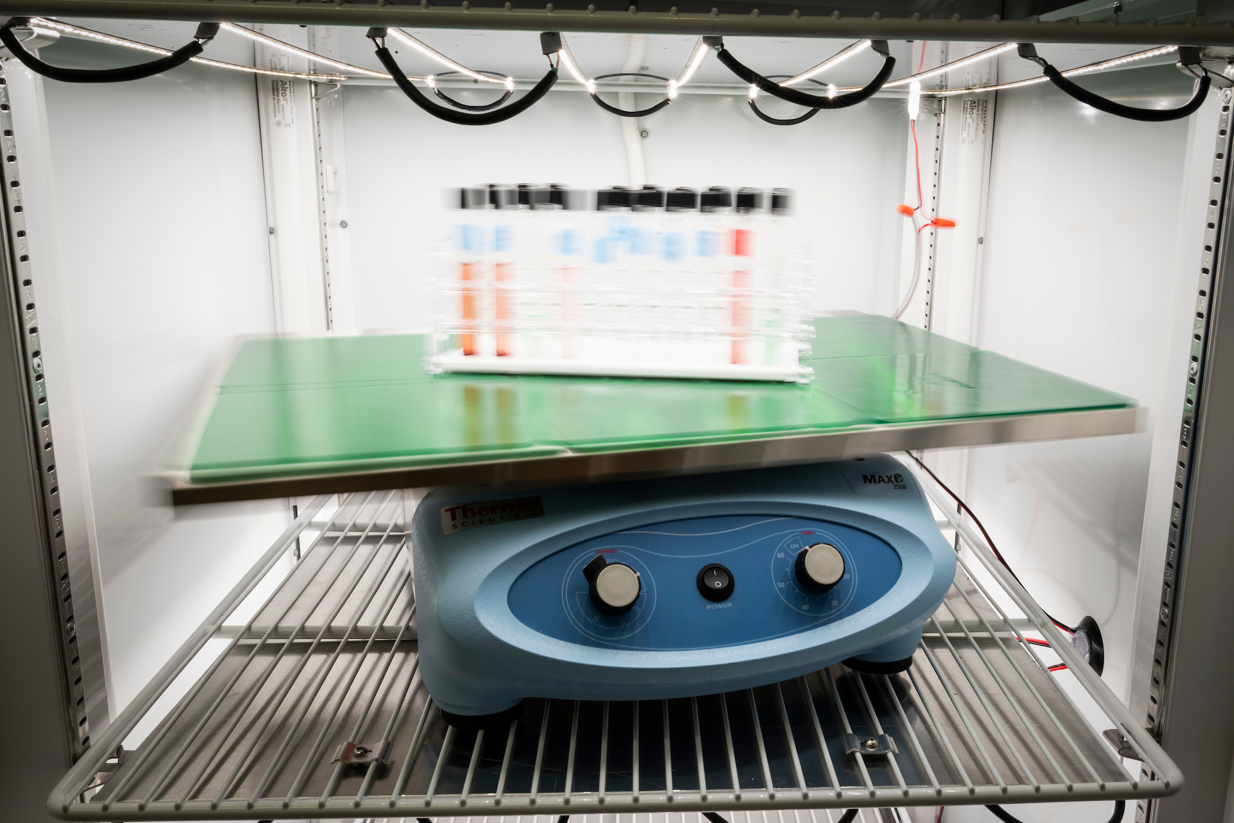 Microbial solutions stored in test tubes are shaken in a temperature-controlled environment in Betül Kaçar’s research lab in Microbial Sciences